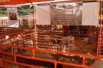 Expo Ganadera